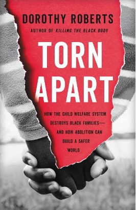 TORN APART by Dorothy Roberts